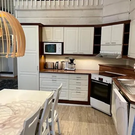 Levinkruunu B Visit Διαμέρισμα Levi