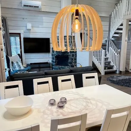 Levinkruunu B Visit * Levi