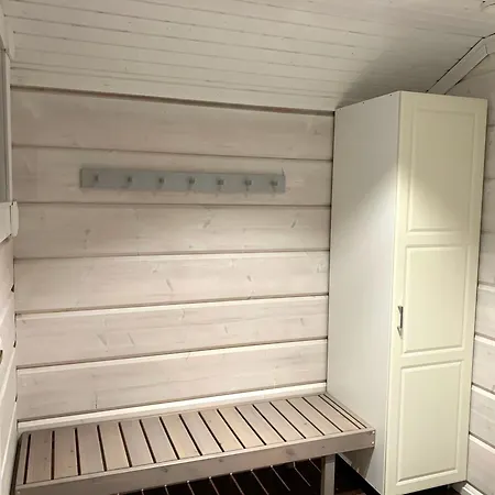 Levinkruunu B Visit * Levi