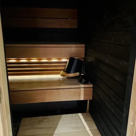 Levinkruunu B Visit Levi