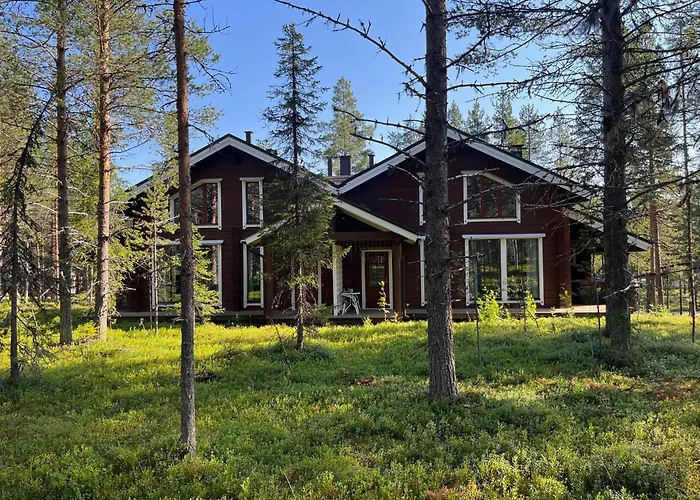 Levinkruunu B Visit Daire