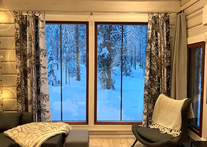 Levinkruunu B Visit Daire *