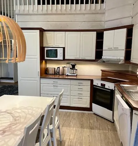 Levinkruunu B Visit Daire Levi