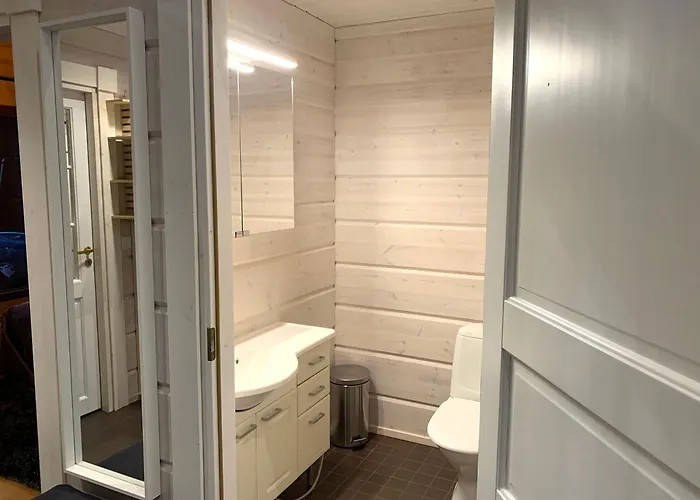 Levinkruunu B Visit Daire