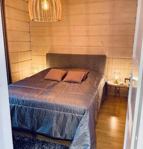 Levinkruunu B Visit Daire *