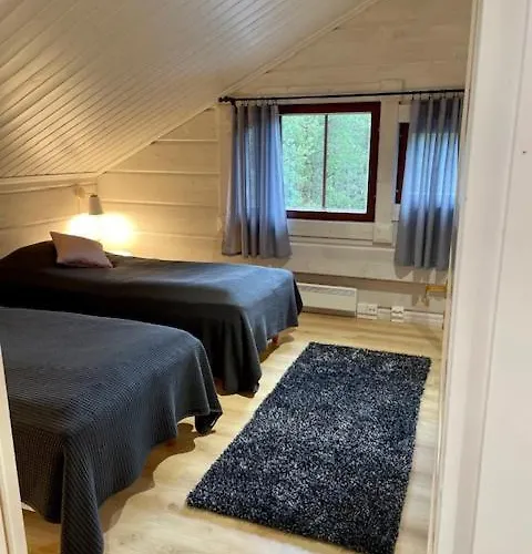 Levinkruunu B Visit Daire Levi