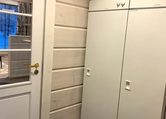 Levinkruunu B Visit Levi